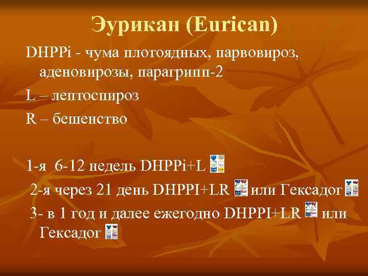 Эурикан (Eurican) DHPPi - чума плотоядных, парвовироз, аденовирозы, парагрипп-2 L – лептоспироз R –