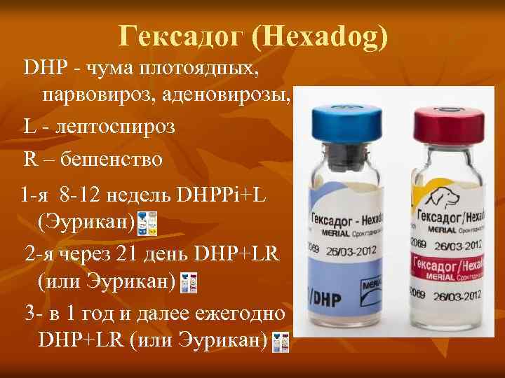Гексадог (Hexadog) DHP - чума плотоядных, парвовироз, аденовирозы, L - лептоспироз R – бешенство