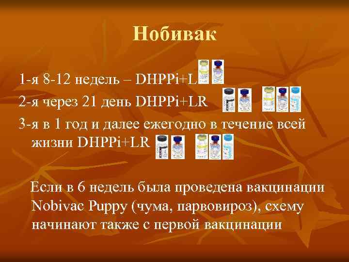 Нобивак 1 -я 8 -12 недель – DHPPi+L 2 -я через 21 день DHPPi+LR