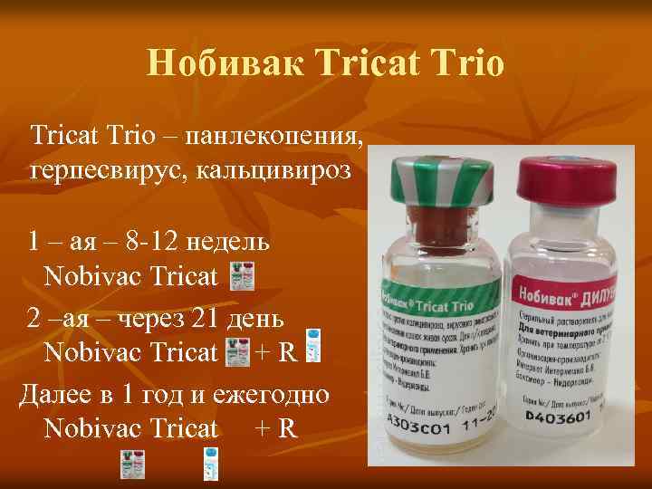 Нобивак Tricat Trio – панлекопения, герпесвирус, кальцивироз 1 – ая – 8 -12 недель