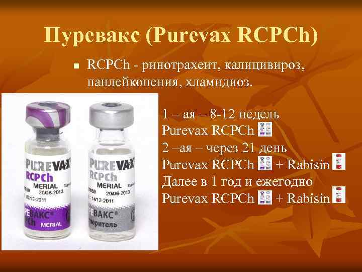 Пуревакс (Purevax RCPCh) n RCPCh - ринотрахеит, калицивироз, панлейкопения, хламидиоз. 1 – ая –