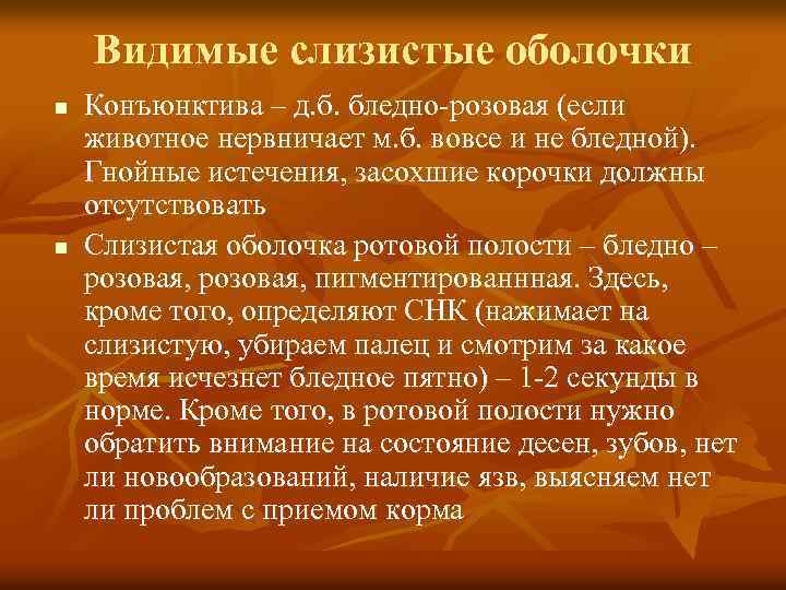 Видимые слизистые оболочки n n Конъюнктива – д. б. бледно-розовая (если животное нервничает м.