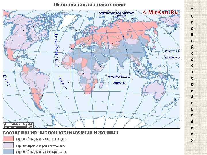 П о л о в о й с о с т а в н