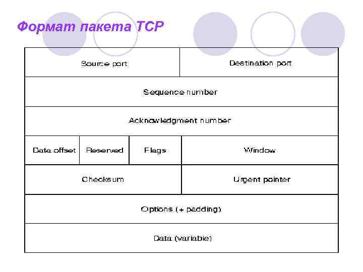 Формат пакета ТСР 