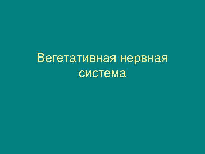 Вегетативная нервная система 