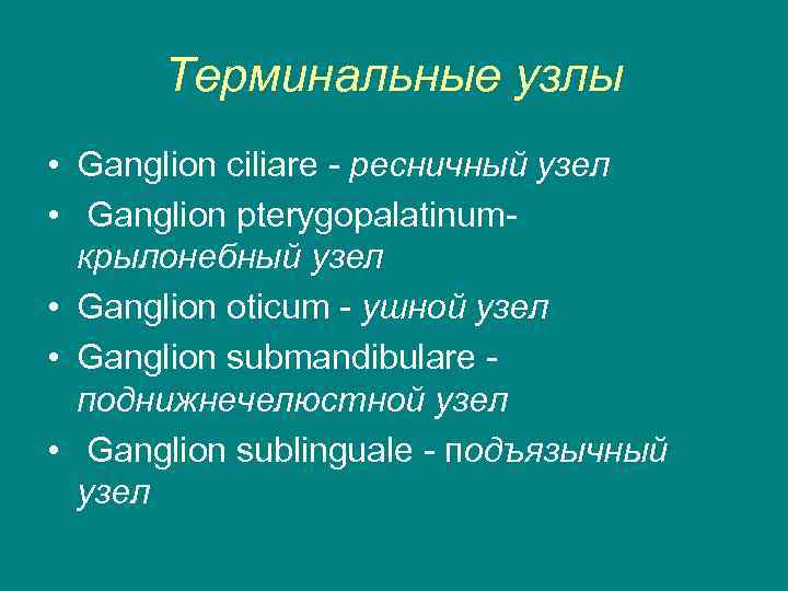 Терминальные узлы • Ganglion ciliare - ресничный узел • Ganglion pterygopalatinumкрылонебный узел • Ganglion