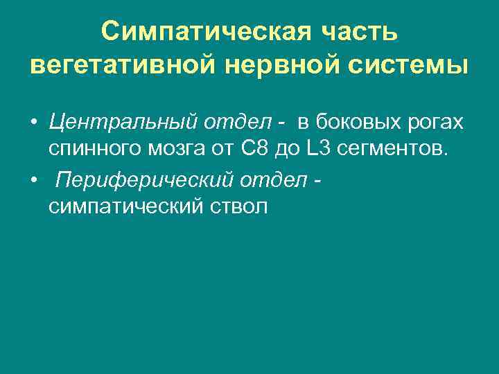 Симпатическая часть вегетативной нервной системы • Центральный отдел - в боковых рогах спинного мозга