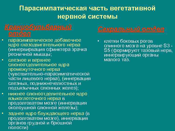 Парасимпатическая часть вегетативной нервной системы Краниобульбарный отдел • парасимпатическое добавочное ядро глазодвигательного нерва (иннервирвация