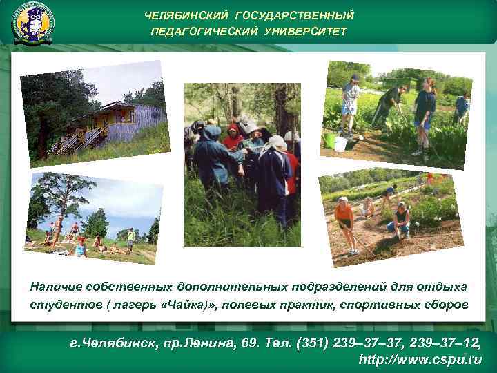 ЧЕЛЯБИНСКИЙ ГОСУДАРСТВЕННЫЙ ПЕДАГОГИЧЕСКИЙ УНИВЕРСИТЕТ Наличие собственных дополнительных подразделений для отдыха студентов ( лагерь «Чайка)»