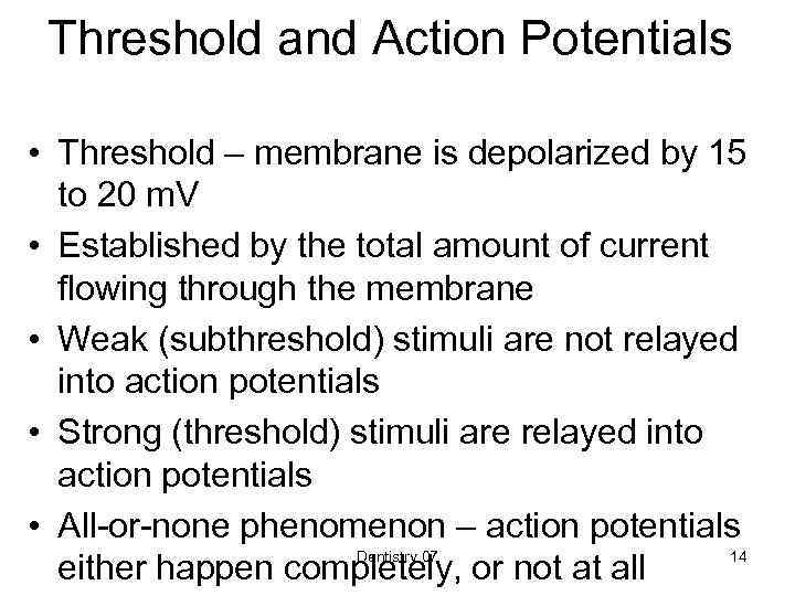 Threshold and Action Potentials • Threshold – membrane is depolarized by 15 to 20