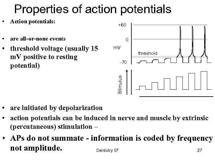 Properties of action potentials • Action potentials: +60 • are all-or-none events m. V