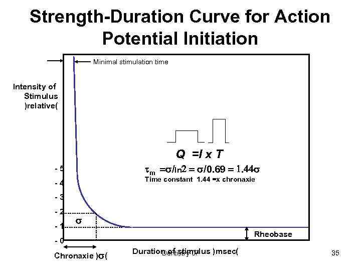 Strength-Duration Curve for Action Potential Initiation Minimal stimulation time Intensity of Stimulus )relative( Q
