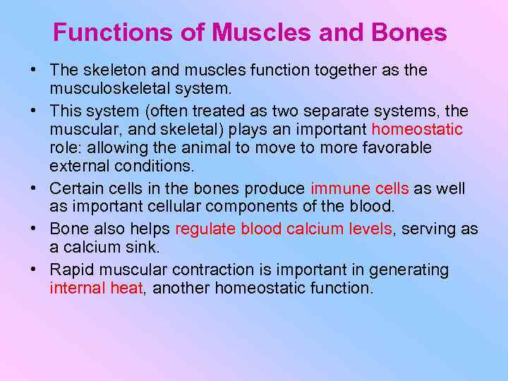 Functions of Muscles and Bones • The skeleton and muscles function together as the