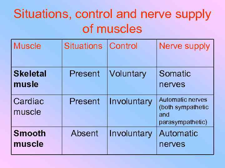 Situations, control and nerve supply of muscles Muscle Situations Control Nerve supply Skeletal musle