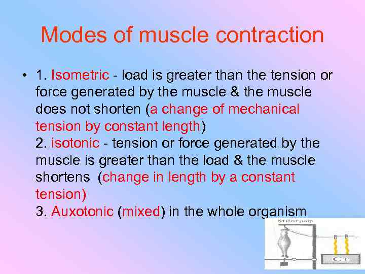 Modes of muscle contraction • 1. Isometric - load is greater than the tension