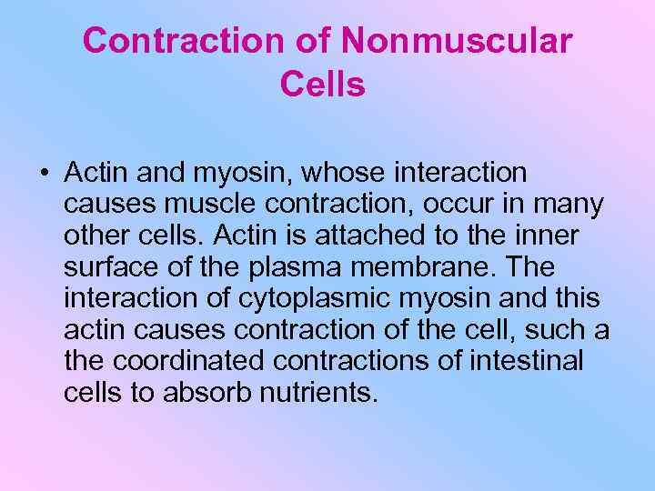 Contraction of Nonmuscular Cells • Actin and myosin, whose interaction causes muscle contraction, occur