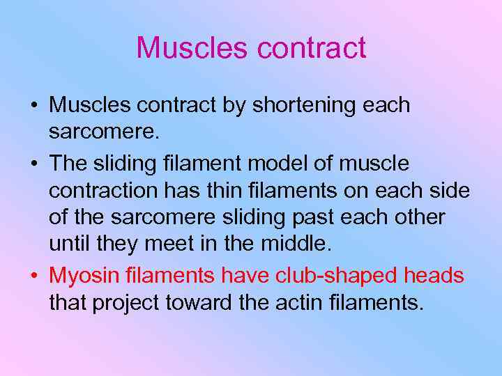 Muscles contract • Muscles contract by shortening each sarcomere. • The sliding filament model