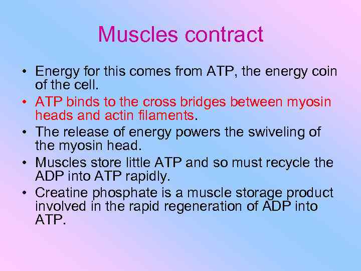 Muscles contract • Energy for this comes from ATP, the energy coin of the