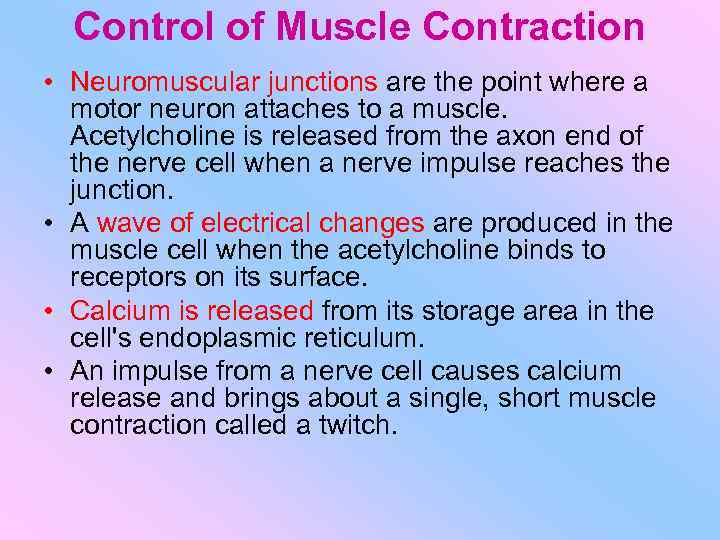 Control of Muscle Contraction • Neuromuscular junctions are the point where a motor neuron