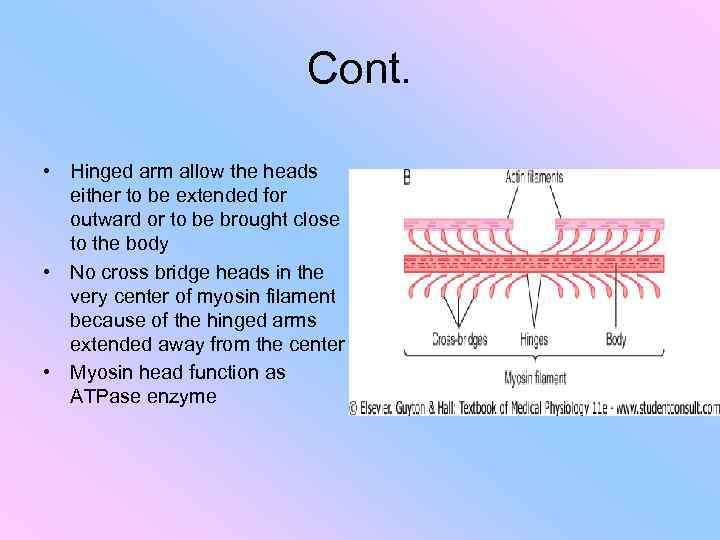 Cont. • Hinged arm allow the heads either to be extended for outward or