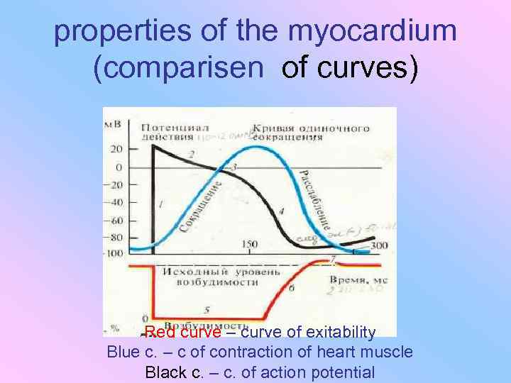 properties of the myocardium (comparisen of curves) Red curve – curve of exitability Blue