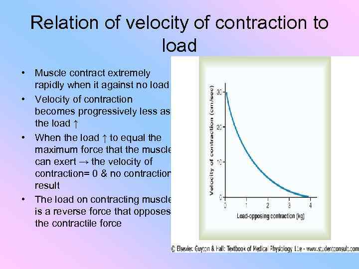 Relation of velocity of contraction to load • Muscle contract extremely rapidly when it