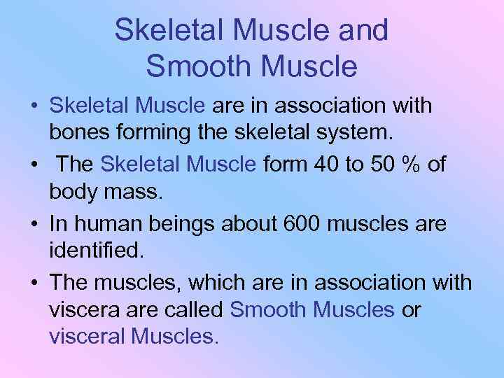 Skeletal Muscle and Smooth Muscle • Skeletal Muscle are in association with bones forming