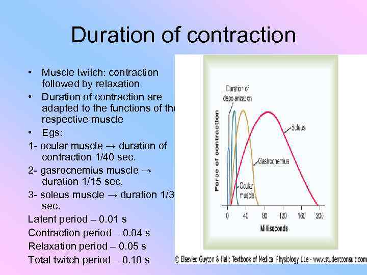 Duration of contraction • Muscle twitch: contraction followed by relaxation • Duration of contraction