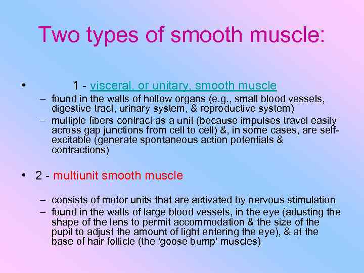 Two types of smooth muscle: • 1 - visceral, or unitary, smooth muscle –