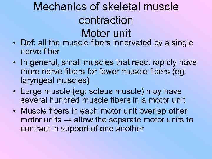 Mechanics of skeletal muscle contraction Motor unit • Def: all the muscle fibers innervated