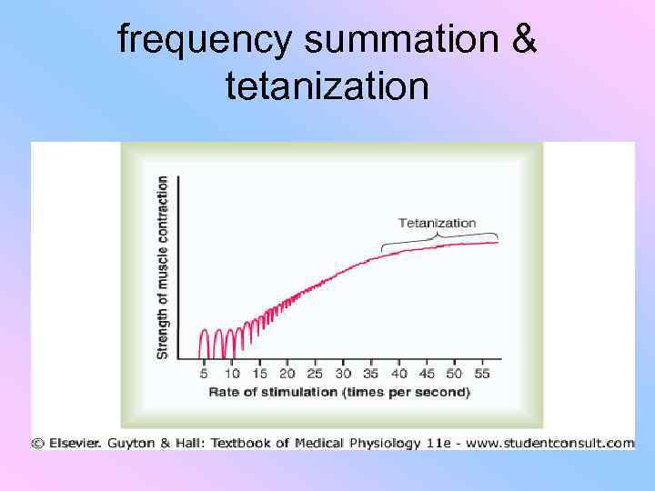 frequency summation & tetanization 