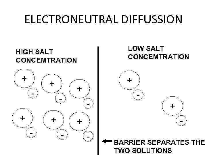 ELECTRONEUTRAL DIFFUSSION LOW SALT CONCEMTRATION HIGH SALT CONCEMTRATION + + - + - -