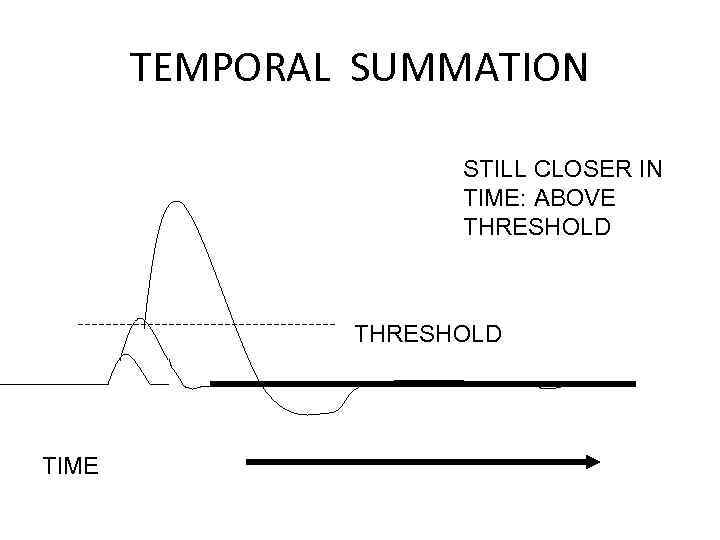 TEMPORAL SUMMATION STILL CLOSER IN TIME: ABOVE THRESHOLD TIME 