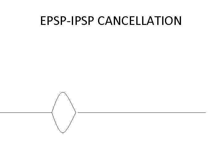 EPSP-IPSP CANCELLATION 