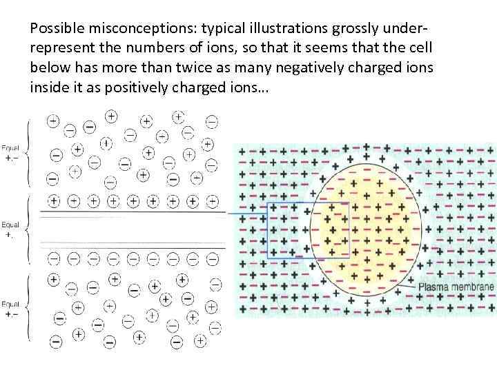 Possible misconceptions: typical illustrations grossly underrepresent the numbers of ions, so that it seems