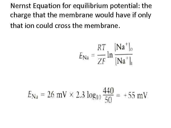 Nernst Equation for equilibrium potential: the charge that the membrane would have if only