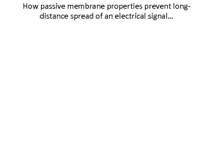 How passive membrane properties prevent longdistance spread of an electrical signal… 