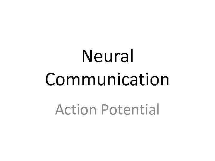 Neural Communication Action Potential 