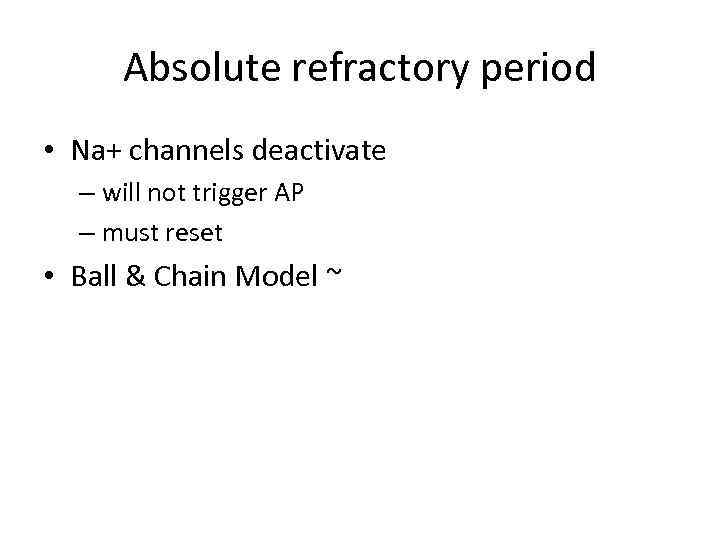 Absolute refractory period • Na+ channels deactivate – will not trigger AP – must