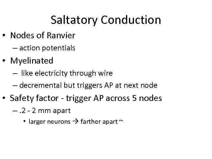 Saltatory Conduction • Nodes of Ranvier – action potentials • Myelinated – like electricity