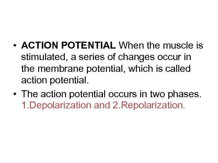  • ACTION POTENTIAL When the muscle is stimulated, a series of changes occur