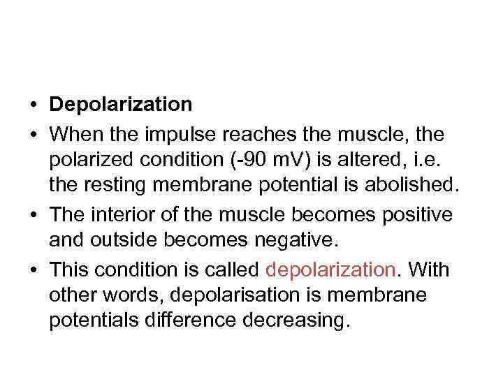  • Depolarization • When the impulse reaches the muscle, the polarized condition (-90