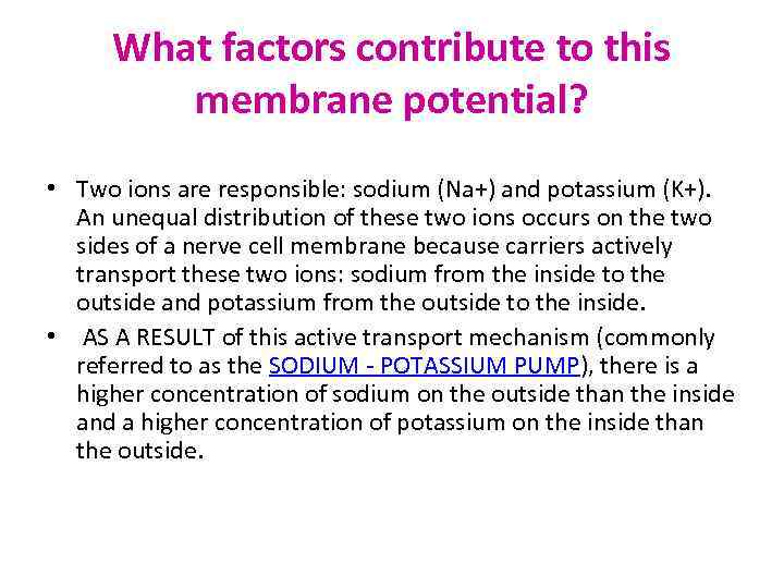 What factors contribute to this membrane potential? • Two ions are responsible: sodium (Na+)