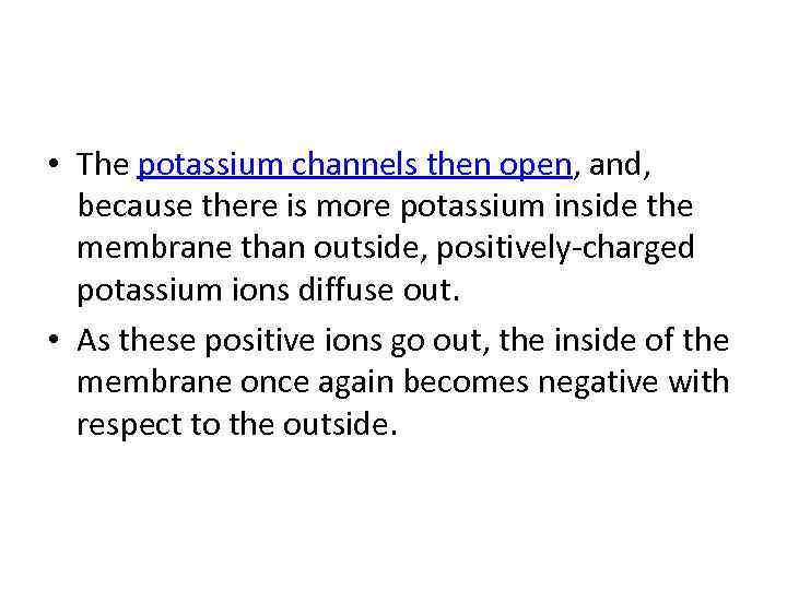  • The potassium channels then open, and, because there is more potassium inside