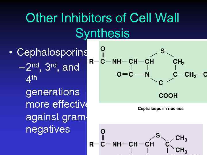 Other Inhibitors of Cell Wall Synthesis • Cephalosporins – 2 nd, 3 rd, and