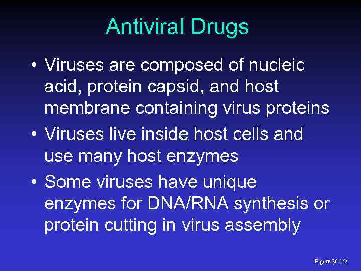 Antiviral Drugs • Viruses are composed of nucleic acid, protein capsid, and host membrane
