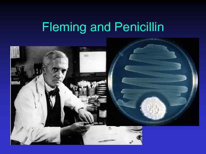 Fleming and Penicillin 