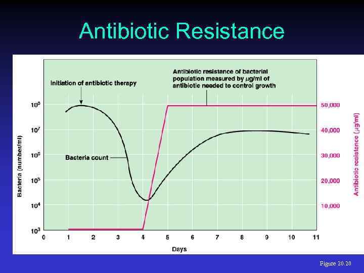 Antibiotic Resistance Figure 20. 20 