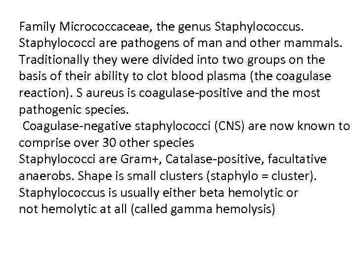 Family Micrococcaceae, the genus Staphylococcus. Staphylococci are pathogens of man and other mammals. Traditionally