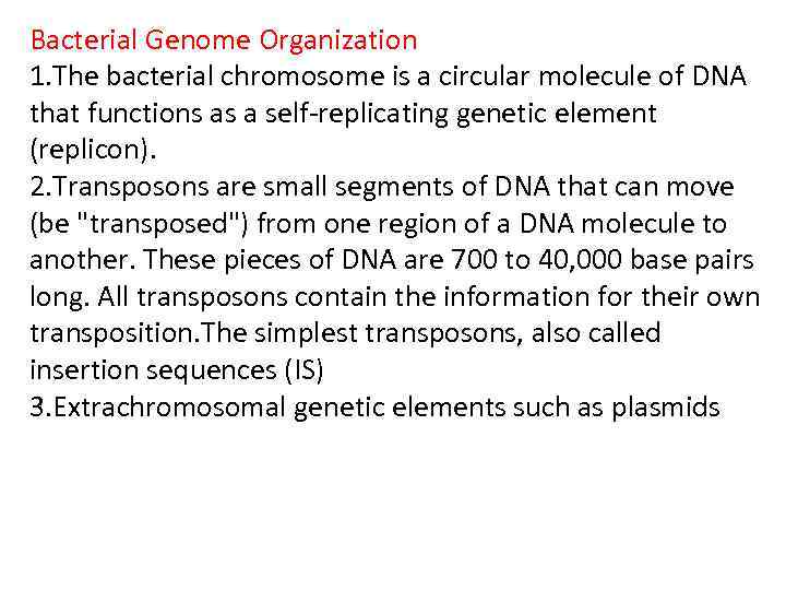 Bacterial Genome Organization 1. The bacterial chromosome is a circular molecule of DNA that